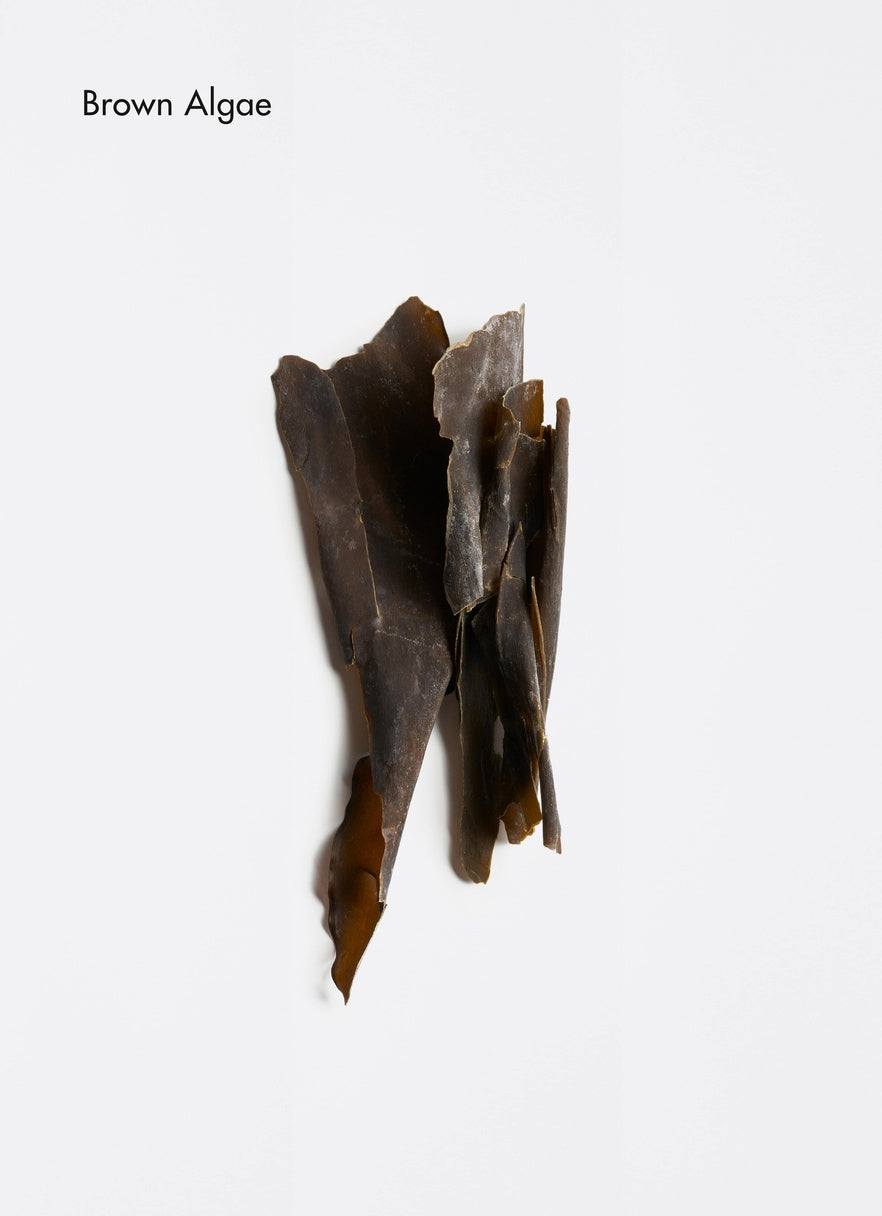 Corps et Visage | Gel mains rafraîchissant| Spa Refreshing Hand Wash