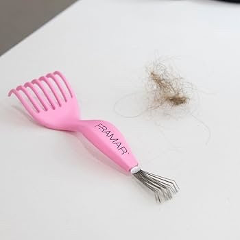 Framar | Nettoie Brosse