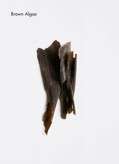 Corps et Visage | Gel mains rafraîchissant| Spa Refreshing Hand Wash