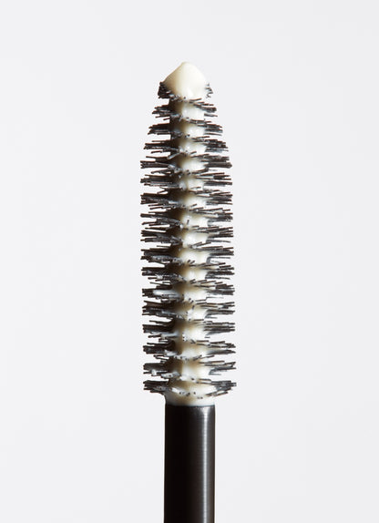 Corps et Visage |  Perfect Boost